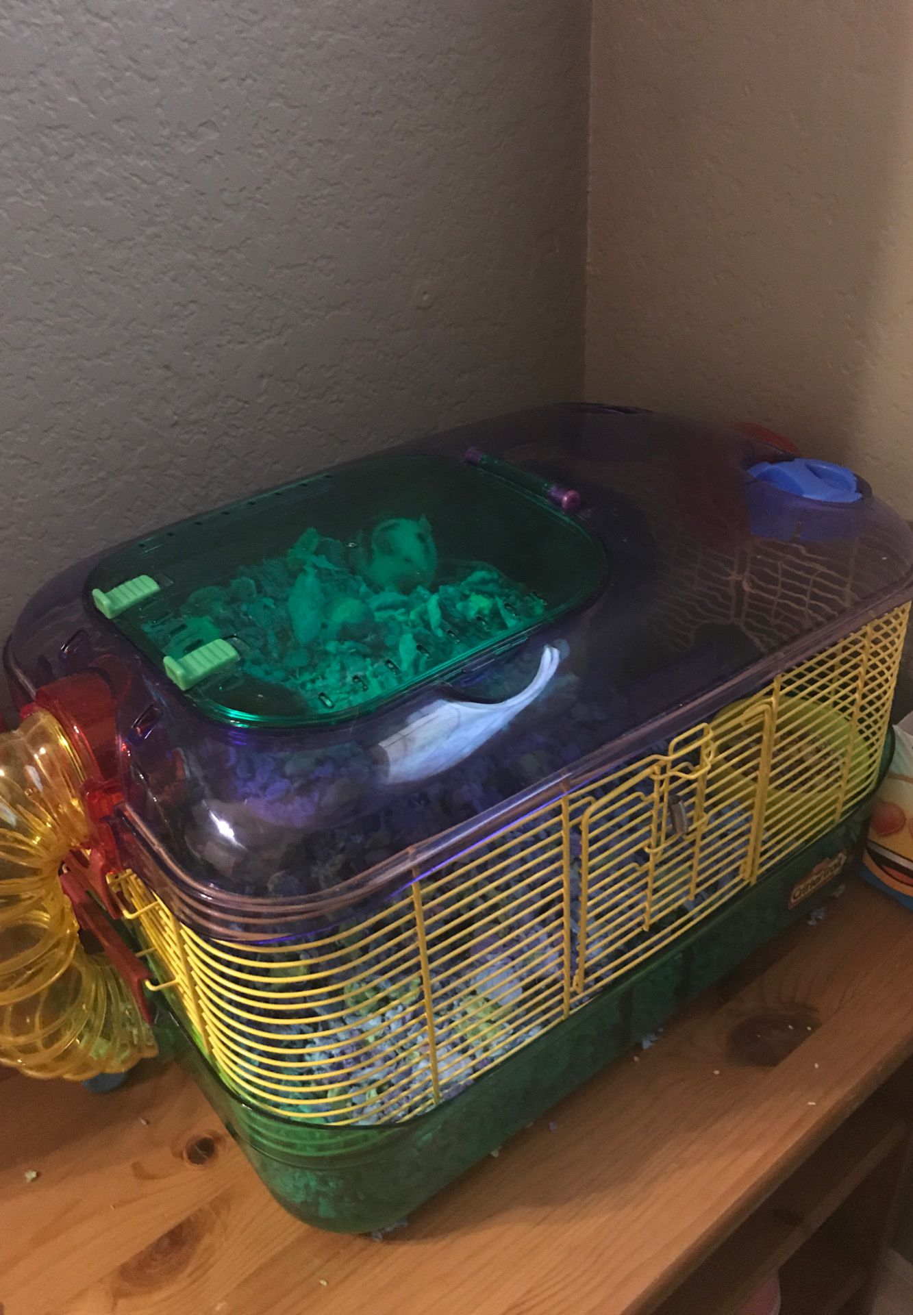 Fancy mouse cage