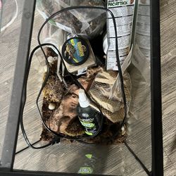Reptile Tank