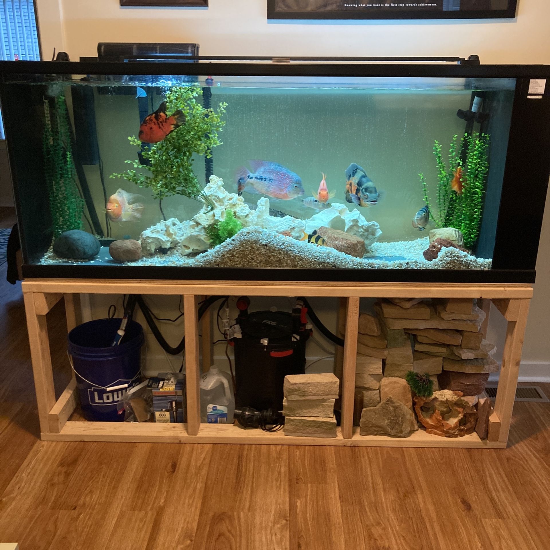 Fish tank 150 gallon long