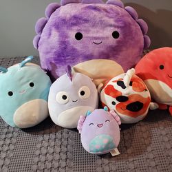 To s of squishmallows fair price