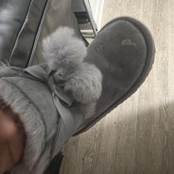 Little Kids Uggs Grey 12y