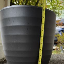 Large Plant Pot