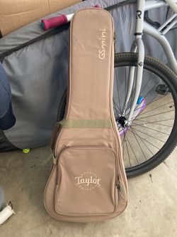 Taylor GS mini case