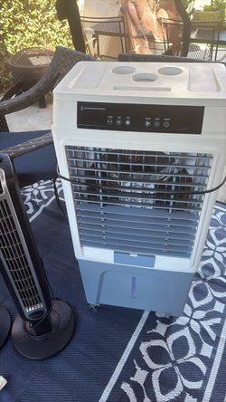 Fan