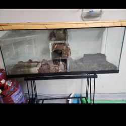 Reptile Tank 