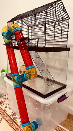 Hamster cage