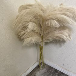 Free Assorted Home Items