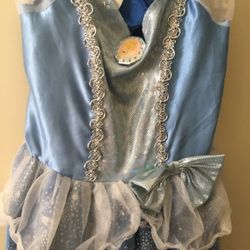 Girls Cinderella 4-6X Halloween Costume 