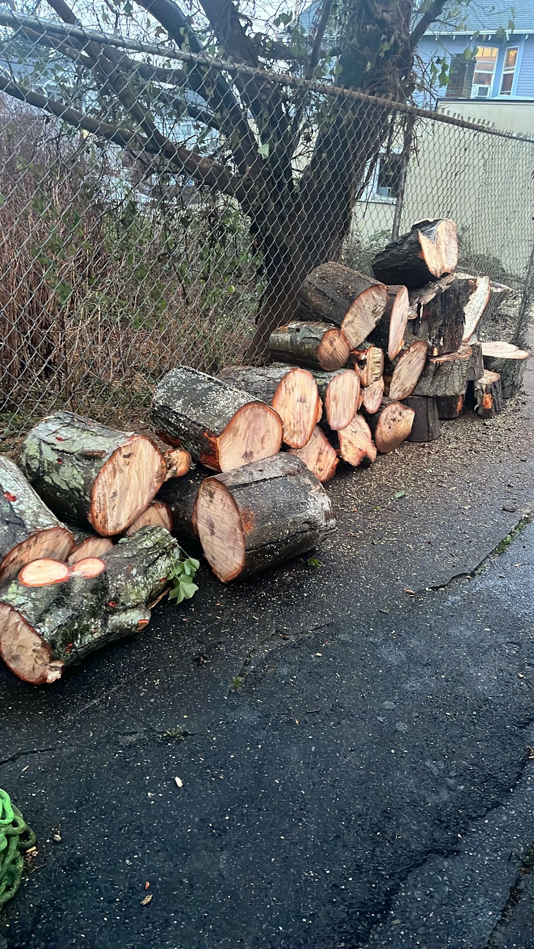 Free Firewood Rounds