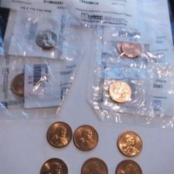 Sacagawea Coins