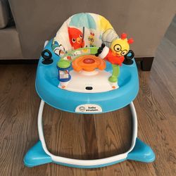 Baby Einstein Walker everything works great.