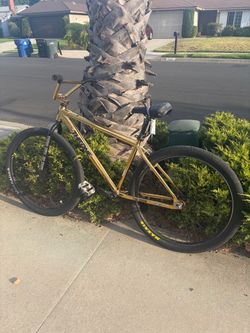 Throne 29er