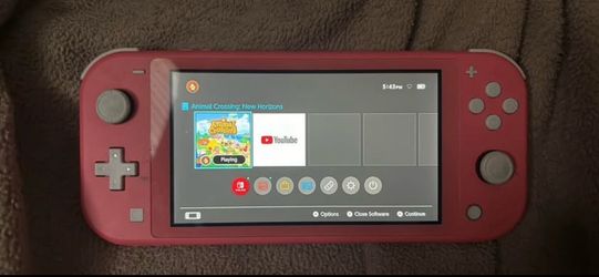 Pink Nintendo Switch Lite with Animal Crossing: New Horizons