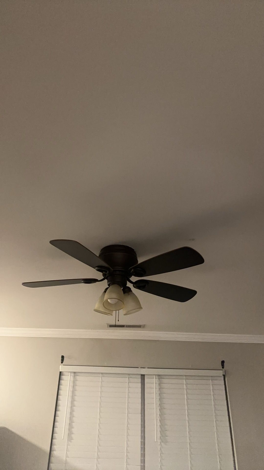 Fan and Light