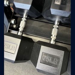 Hex Rubber Dumbbell Pair 75 Ib Vesta Fitness
