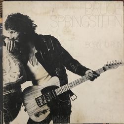 Bruce Springsteen Record