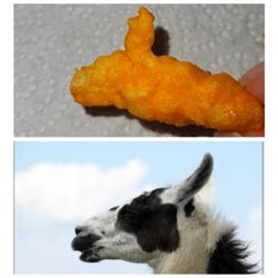 Cheeto Shaped Like Llama Head Collection