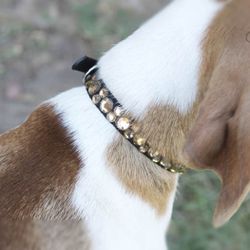Swarovski Dog Collar
