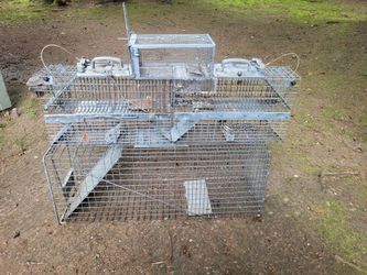 Animal traps, live