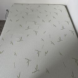 Queen Sized Mattress and/or Bedframe