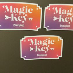 Disneyland Magnets