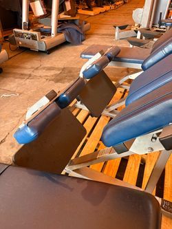 Hammer Strength Back Extension RUSH SALE