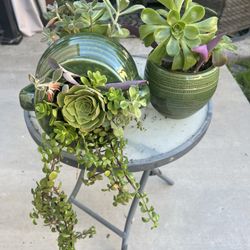 Many Beautiful Succulent Planters