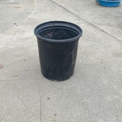 5 Gallon Planters