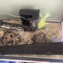 Fish Tank