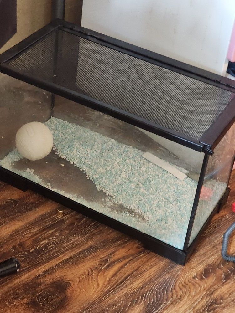 Fish Tank