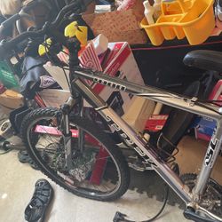 Adult Bike 