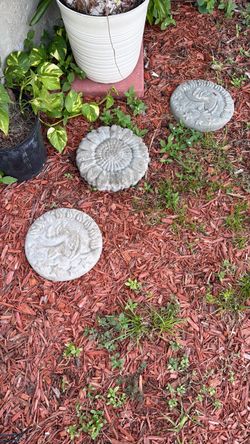 Concrete Decorative Steppingstone