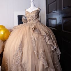Quinceañera Dress $900