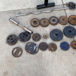 Dumbbell And Ez Barbell Curl With Weights