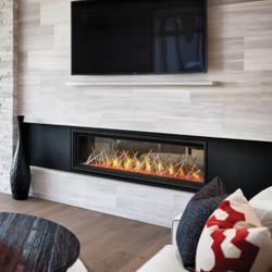  New Napoleon Vector 62 See Thru (Gas or LP) Linear Fireplace