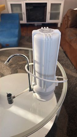 Water filter