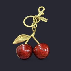 Coach keychain