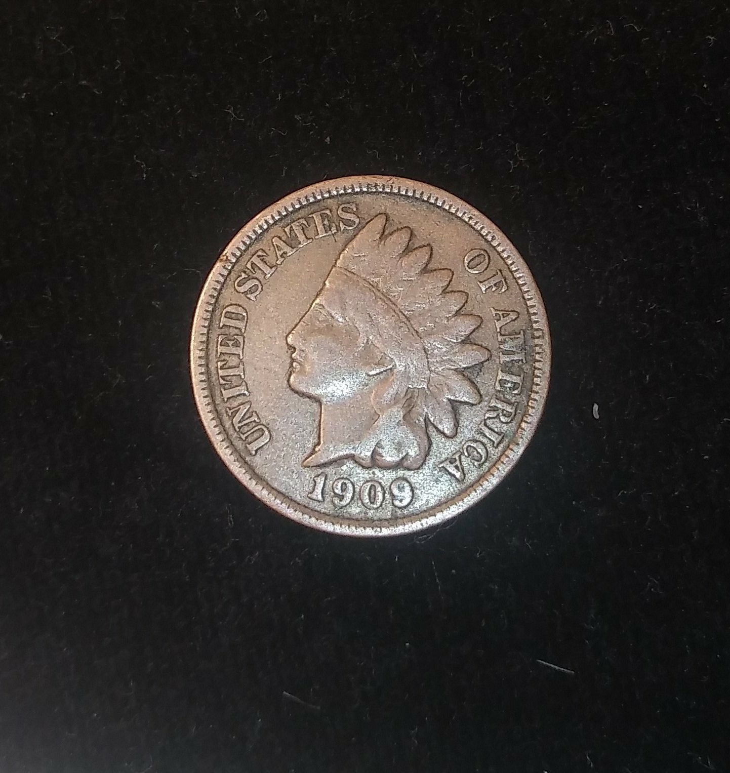 1909 Indian head cent