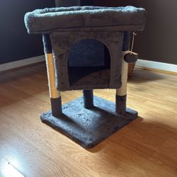 New Cat Bed Never Used 