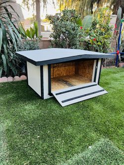 Tortoise/dog House