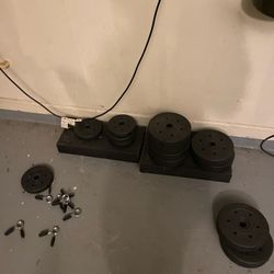 Weights And Bench