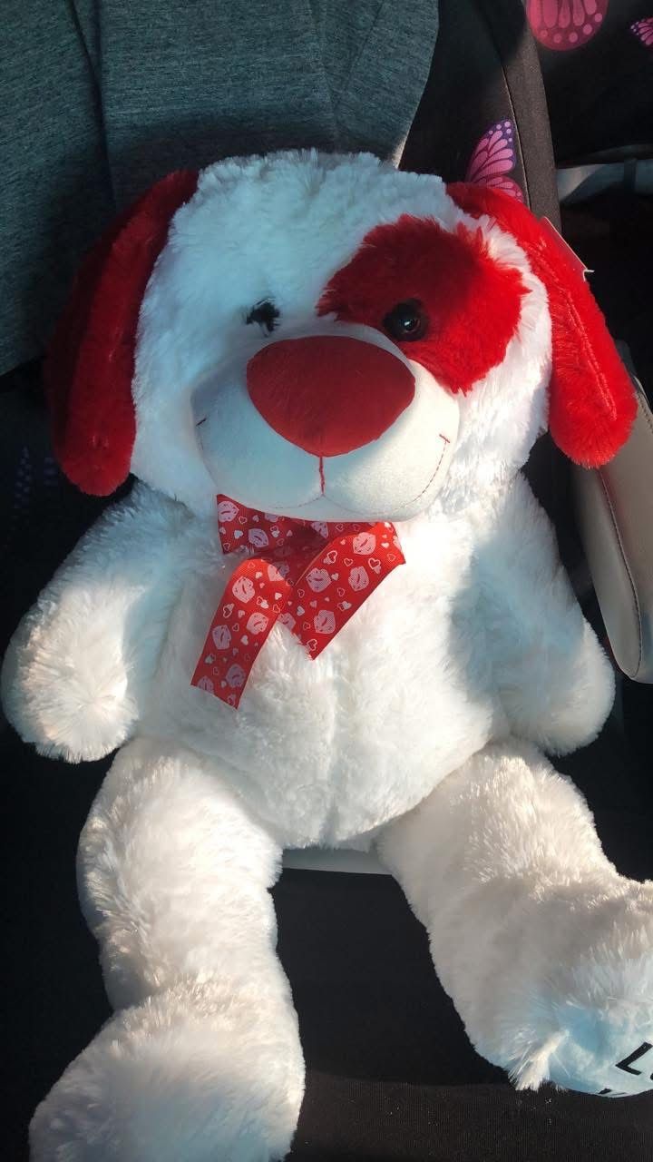 Big Teddy Bear