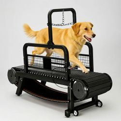 Large Dog Treadmill - Excellent - Jacksonville, FL