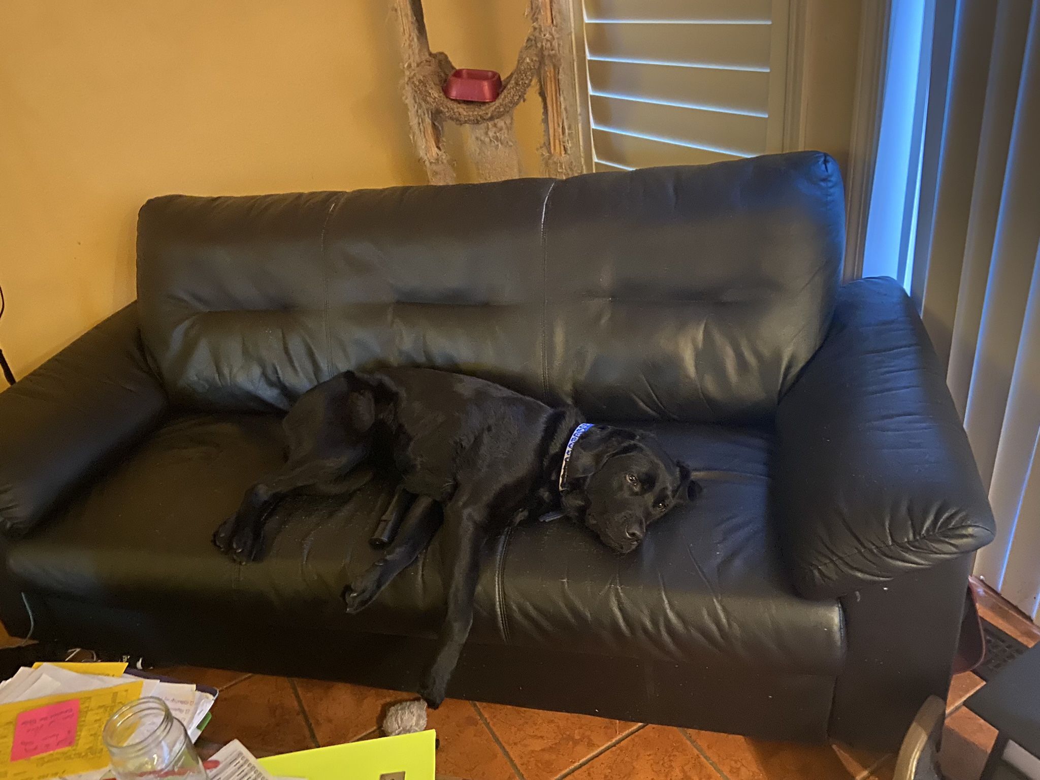 Free IKEA Couch