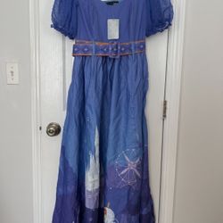 Cinderella Dress