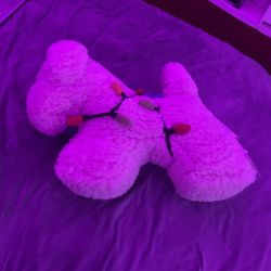 Pottery Barn stuffed animal dog