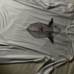 White/grey Long Sleeve Patagonia Limited 