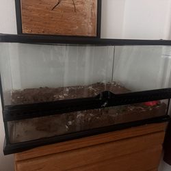 Reptile tank