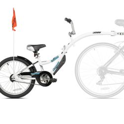 WeeRide 20 In. Co-Pilot Child Bike Trailer, White