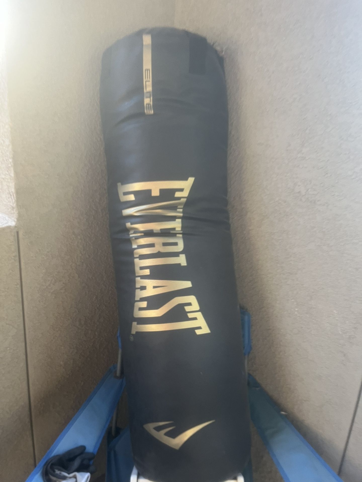 100 Pound Everlast Punching Bag